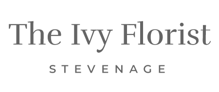 Ivy Florist