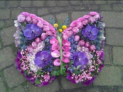 Butterfly Tribute