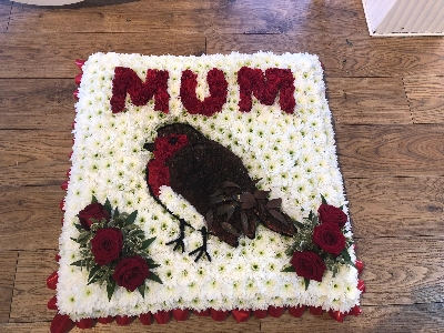 Robin Tribute