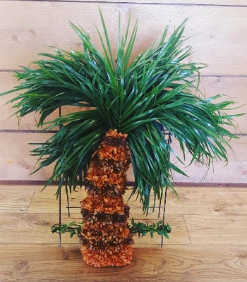 Palm Tree