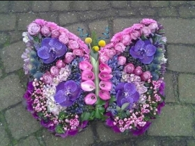 butterfly tribute