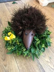 Hedgehog 3D