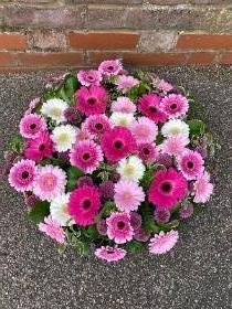 Pink Gerbera Posy