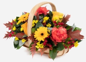 Harvest Basket