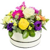 Mixed hatbox