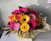 Mixed gerbera hand tied