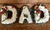 Dad with vegetables in sprays