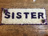 Sister board