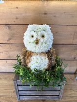 Owl tribute