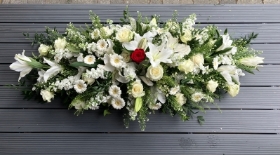 White casket with single red rose